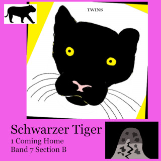TWINS: Schwarzer Tiger 1 Coming Home