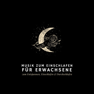 Musik zum Einschlafen: Musik zum Einschlafen
