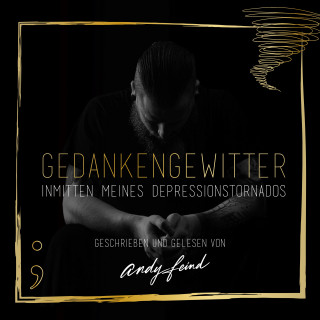 Andy Feind: Gedankengewitter: Inmitten meines Depressionstornados