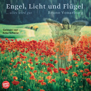 Bruno Vonarburg: Engel, Licht und Flügel