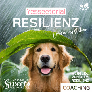 Coco Styles, Indi Sanders: Resilienz, die 7 Säulen der mentalen Stärke, mit Selbsttest im Hörbuch zur Stärkung deiner inneren Widerstandskraft