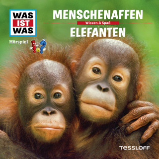 Kurt Haderer: 33: Menschenaffen / Elefanten
