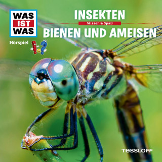 Kurt Haderer: 37: Insekten / Bienen und Ameisen