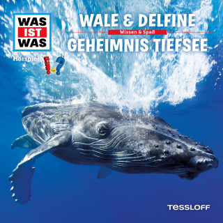 Dr. Manfred Baur: 13: Wale & Delfine / Geheimnis Tiefsee