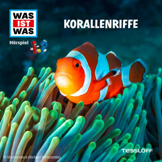 Matthias Falk, Dr. Manfred Baur: Korallenriffe