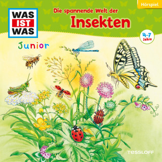 Friederike Wilhelmi, Daniela Wakonigg: 33: Die spannende Welt der Insekten