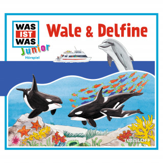 Friederike Wilhelmi, Bettina Brömme, Charlotte Habersack: 22: Wale & Delfine