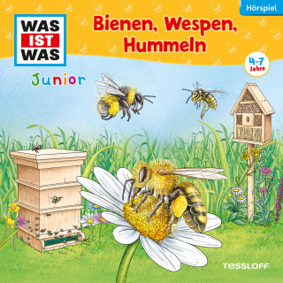 Friederike Wilhelmi, Daniela Wakonigg: 30: Bienen, Wespen, Hummeln