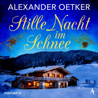 Alexander Oetker: Stille Nacht im Schnee