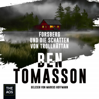 Ben Tomasson: Forsberg und die Schatten von Trollhättan