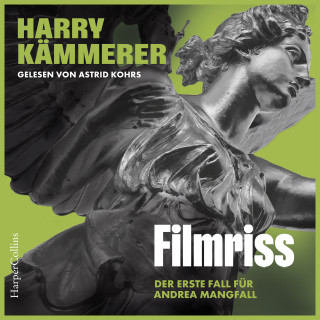 Harry Kämmerer: Filmriss (ungekürzt)