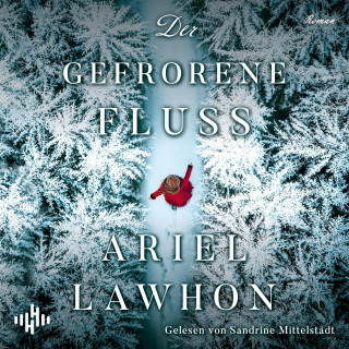 Ariel Lawhon: Der gefrorene Fluss