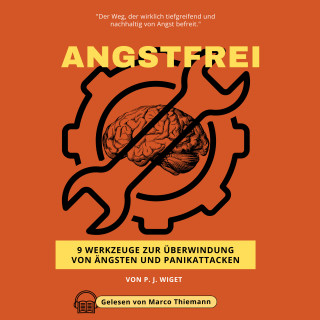 P. J. Wiget: ANGSTFREI - 9 Werkzeuge zur Überwindung von Ängsten und Panikattacken