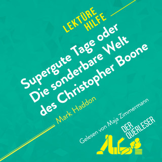Steve MacGregor, derQuerleser, Alexandra Faivre: Supergute Tage oder Die sonderbare Welt des Christopher Boone von Mark Haddon (Lektürehilfe)