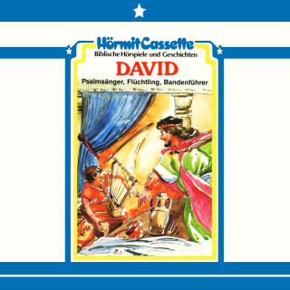 Peter van Woerden: David - Psalmensänger, Flüchtling, Bandenführer