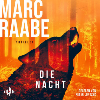 Marc Raabe: Die Nacht (Art Mayer-Serie 3)
