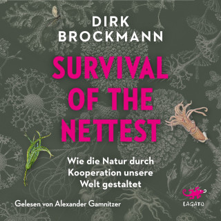 Dirk Brockmann: Survival of the Nettest