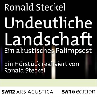 Ronald Steckel: Undeutliche Landschaft