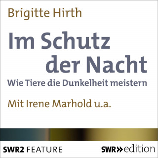 Brigitte Hirth: Im Schutz der Nacht