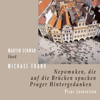 Michael Frank: Nepomuken, die auf die Brücken spucken