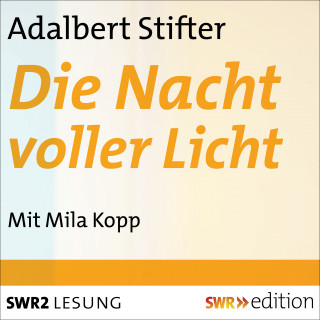 Adalbert Stifter: Die Nacht voller Licht