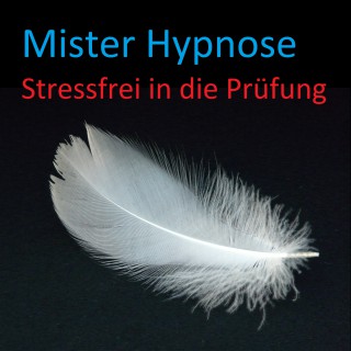 Effektiv Verlag: Stressfrei in die Prüfung