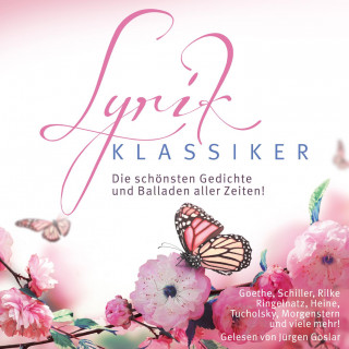 Diverse: Lyrik-Klassiker Die Hörbuch Box