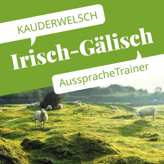 Lars Kabel: Reise Know-How Kauderwelsch AusspracheTrainer Irisch-Gälisch