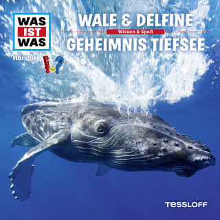 Dr. Manfred Baur: WAS IST WAS Hörspiel. Wale & Delfine / Geheimnis Tiefsee.
