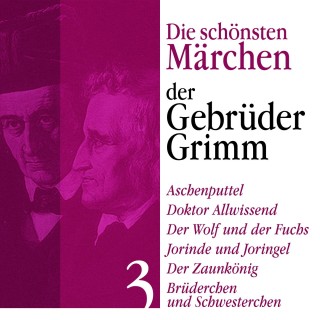 Gebrüder Grimm: Aschenputtel: Die schönsten Märchen der Gebrüder Grimm 3