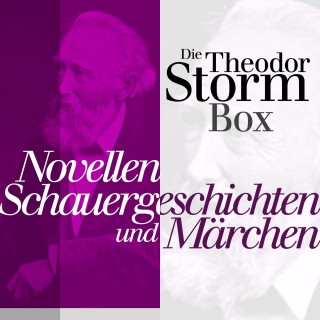 Theodor Storm: Novellen, Schauergeschichten und Märchen
