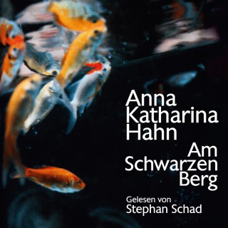 Anna Katharina Hahn: Am schwarzen Berg