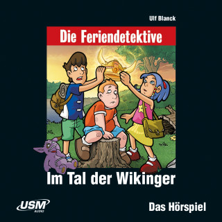Ulf Blanck: Die Feriendetektive - Im Tal der Wikinger