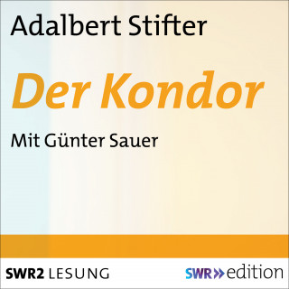 Adalbert Stifter: Der Kondor