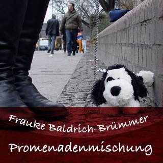 Frauke Baldrich-Brümmer: Promenadenmischung - Auf den Slam gekommen