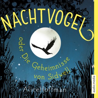 Alice Hoffman: Nachtvogel oder Die Geheimnisse von Sidwell