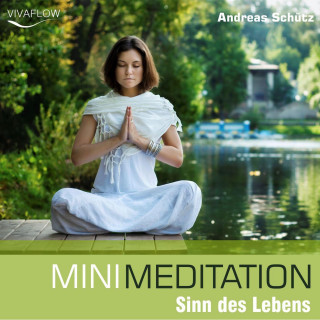 Andreas Schütz: Mini Meditation - Sinn des Lebens