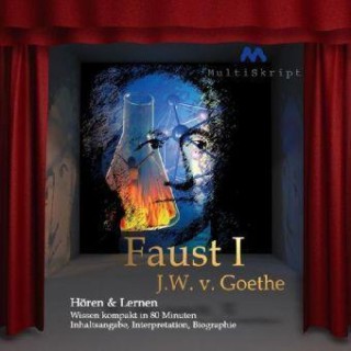 Johann Wolfgang von Goethe, Beate Herfurth-Uber: Johann Wolfgang von Goethe: Faust I