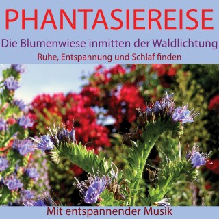 Maximilian Neumann: Phantasiereise: Die Blumenwiese inmitten der Waldlichtung