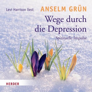 Anselm Grün: Wege durch die Depression