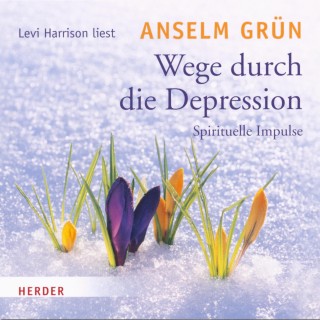 Anselm Grün: Wege durch die Depression