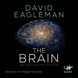 David Eagleman: The Brain