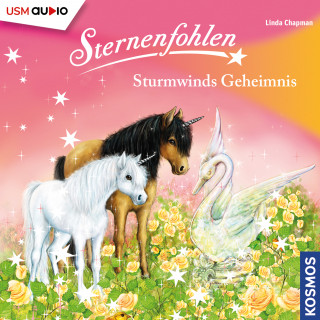 Linda Chapman: Sternenfohlen Folge 8 - Sturmwinds Geheimnis
