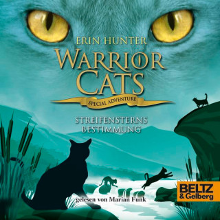 Erin Hunter: Warrior Cats - Special Adventure 4. Streifensterns Bestimmung