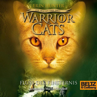 Erin Hunter: Warrior Cats - Die Macht der drei. Fluss der Finsternis