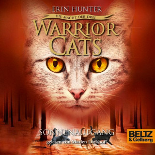 Erin Hunter: Warrior Cats - Die Macht der drei. Sonnenaufgang