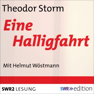 Theodor Storm: Eine Halligfahrt