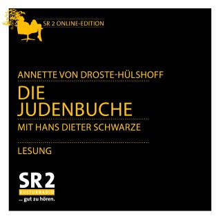 Annette von Droste-Hülshoff: Die Judenbuche