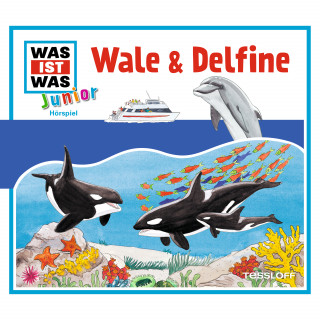 Bettina Brömme, Markus Lehmann-Horn: WAS IST WAS Junior Hörspiel. Wale und Delfine