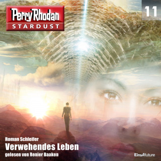 Roman Schleifer: Stardust 11: Verwehendes Leben